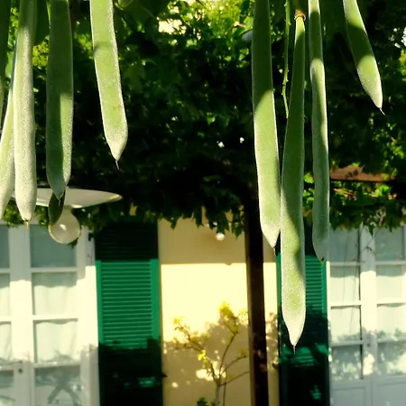 Gasthof A Durmi Levanto