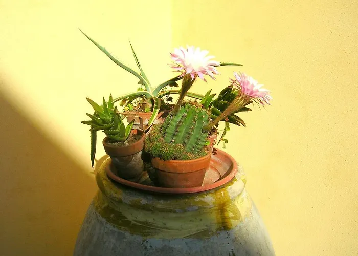 A Durmi Levanto