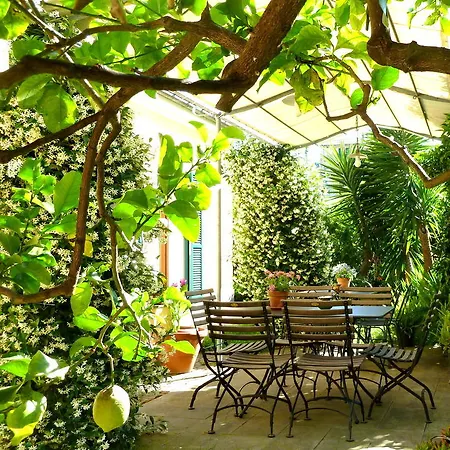 A Durmi レヴァント