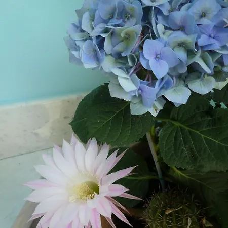 A Durmi ゲストハウス 4*