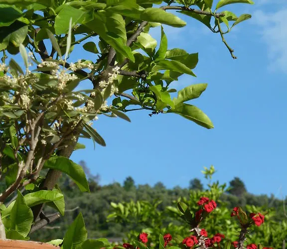 Maison d'hôtes A Durmi