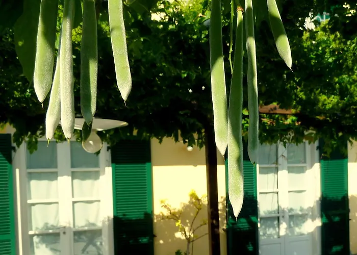 게스트하우스 A Durmi 레반토