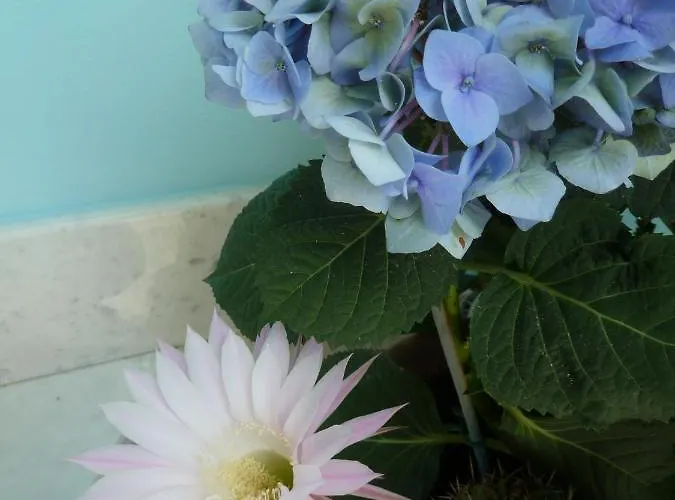 A Durmì Vendégház 4*